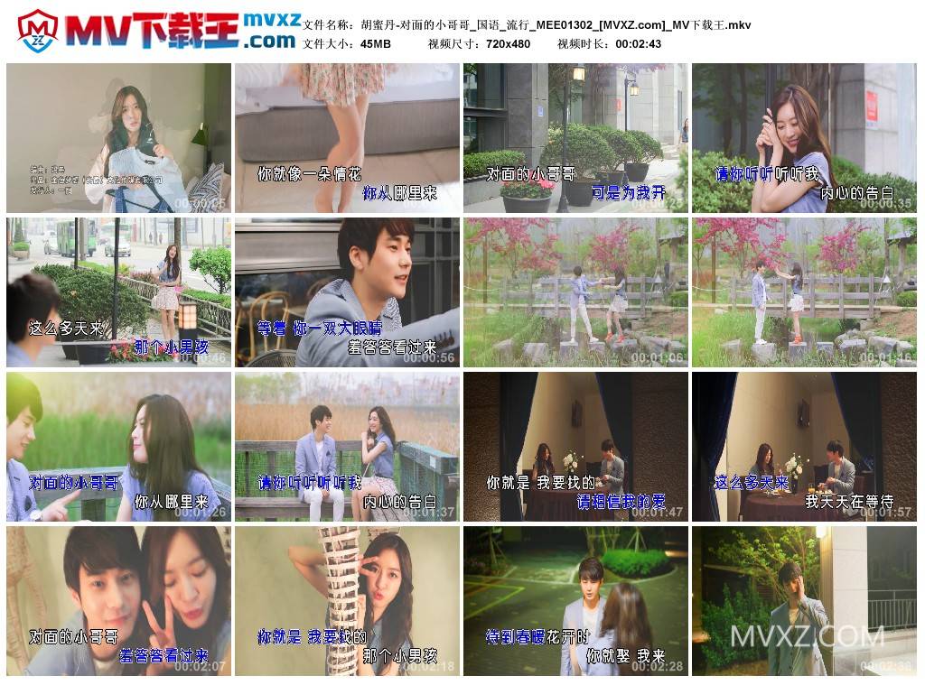 胡蜜丹-对面的小哥哥_国语_流行_MEE01302